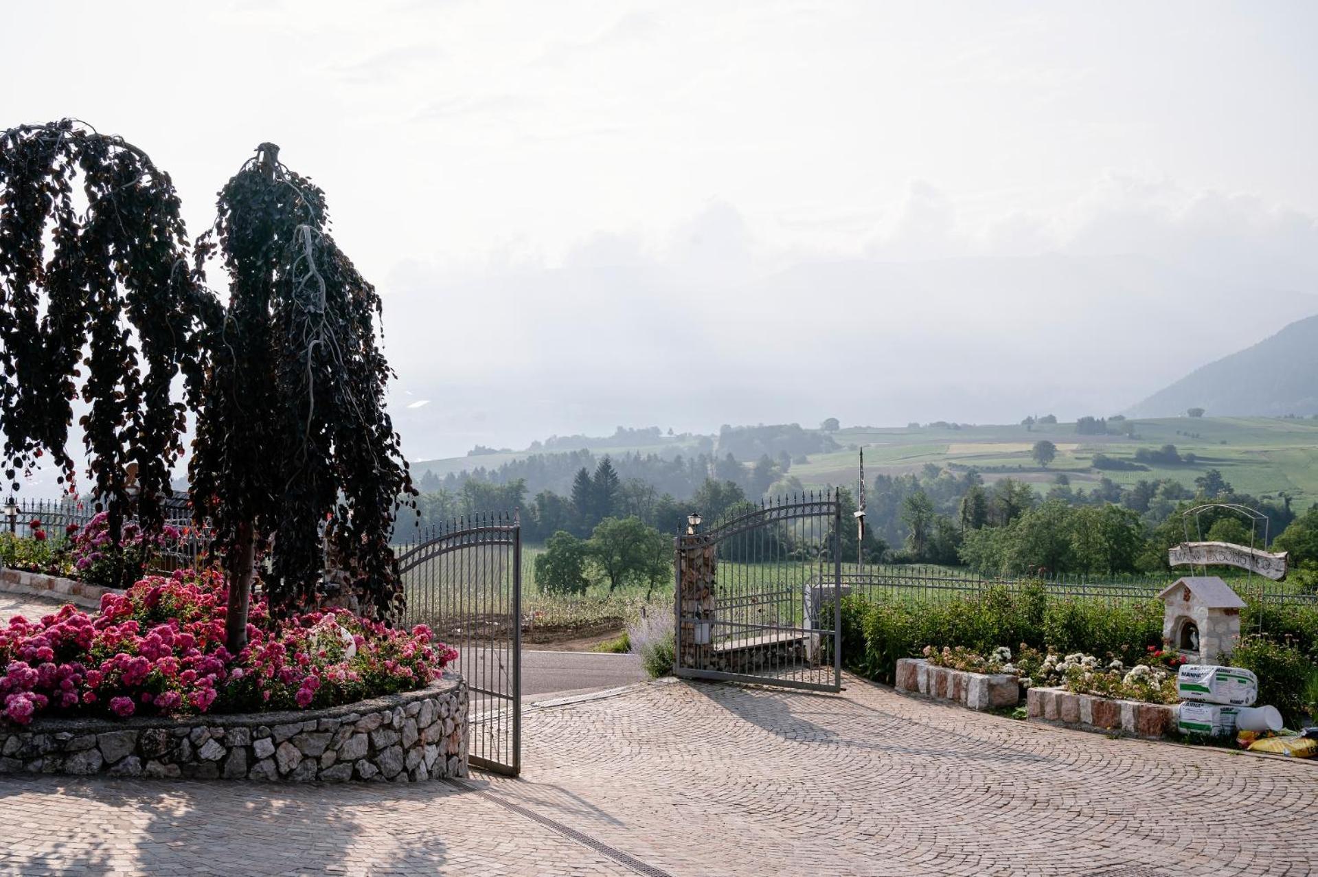 Agritur Maso Alle Rose B&B E Restaurant Balbido-rango Kültér fotó