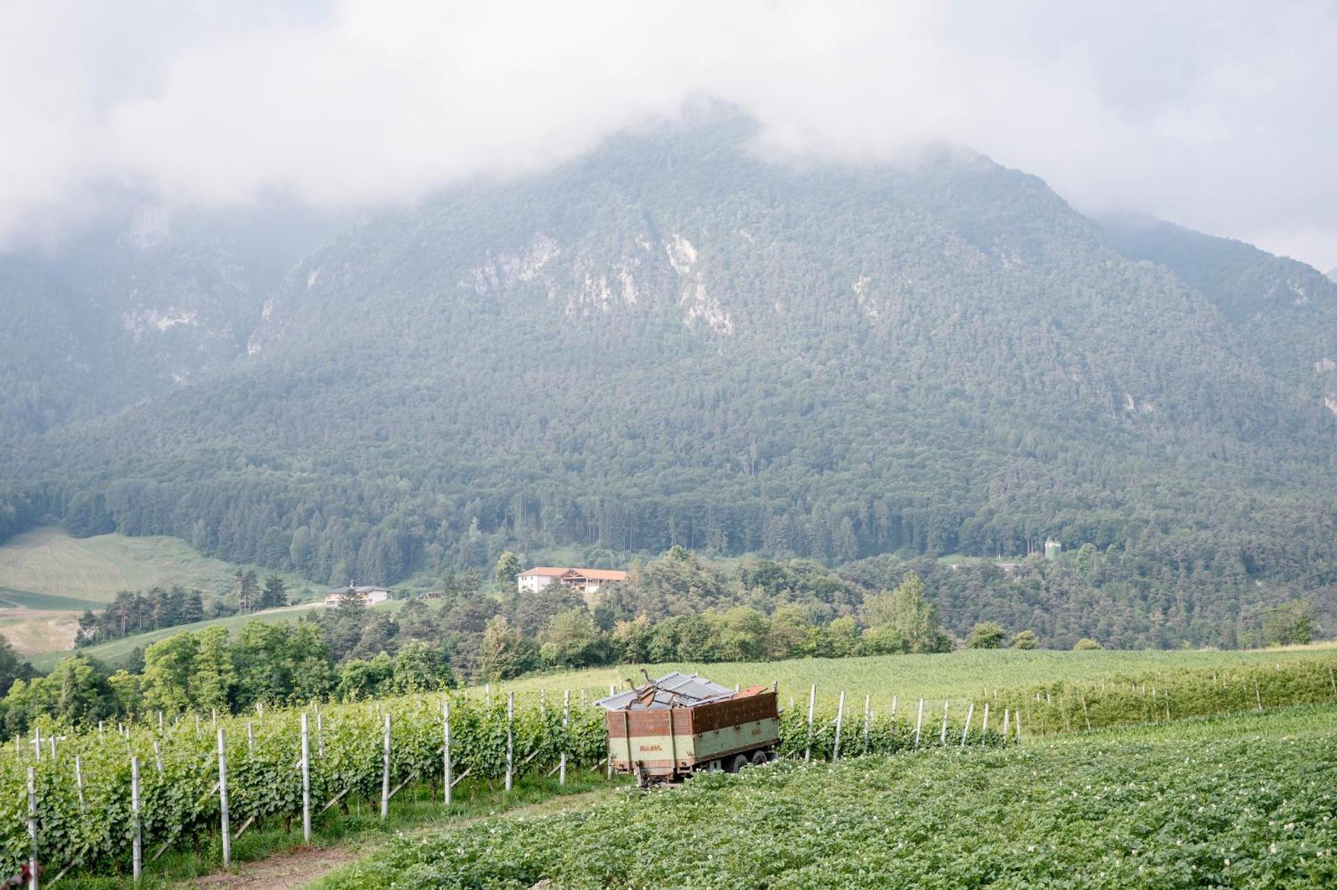 Agritur Maso Alle Rose B&B E Restaurant Balbido-rango Kültér fotó