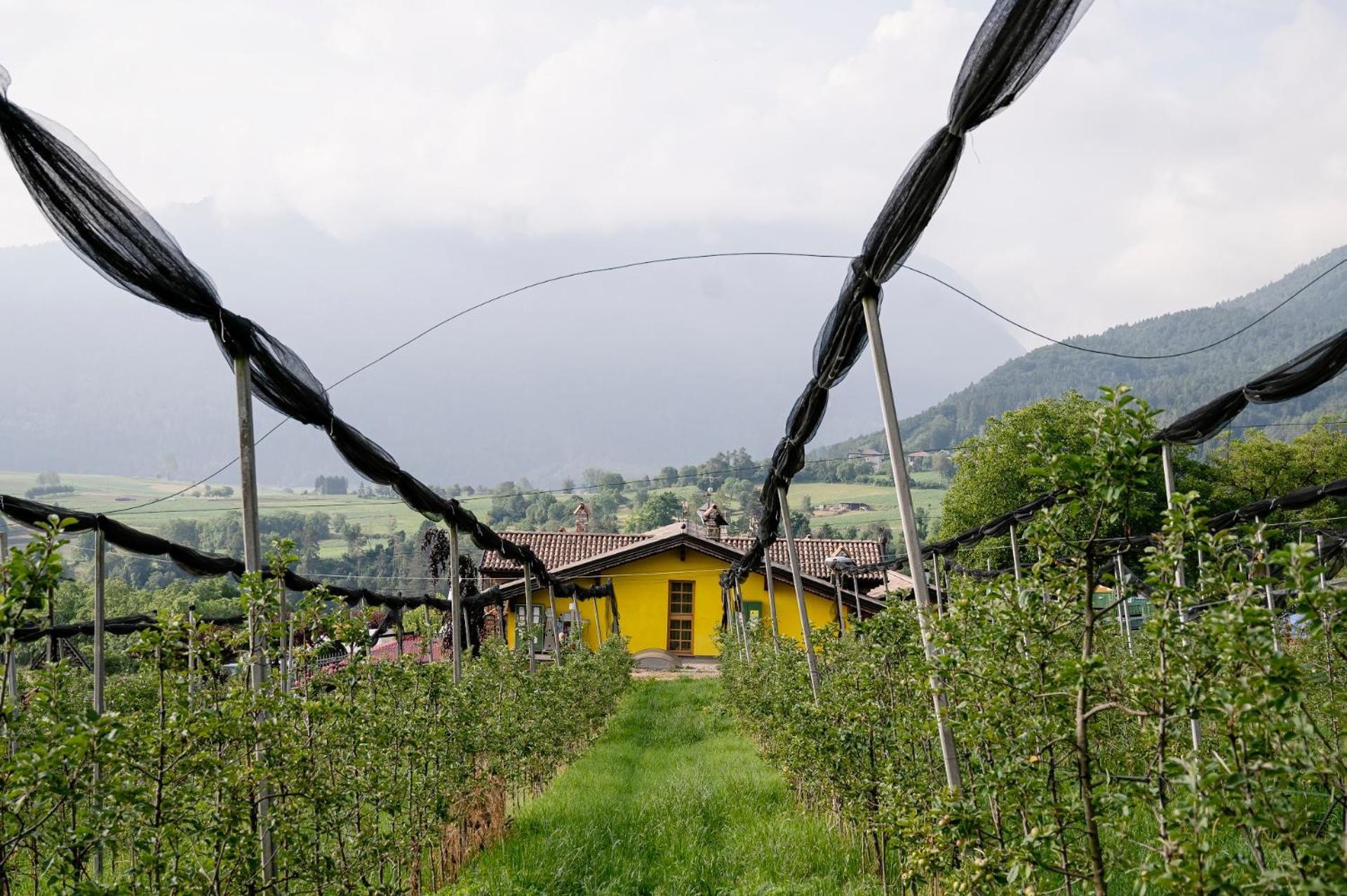 Agritur Maso Alle Rose B&B E Restaurant Balbido-rango Kültér fotó