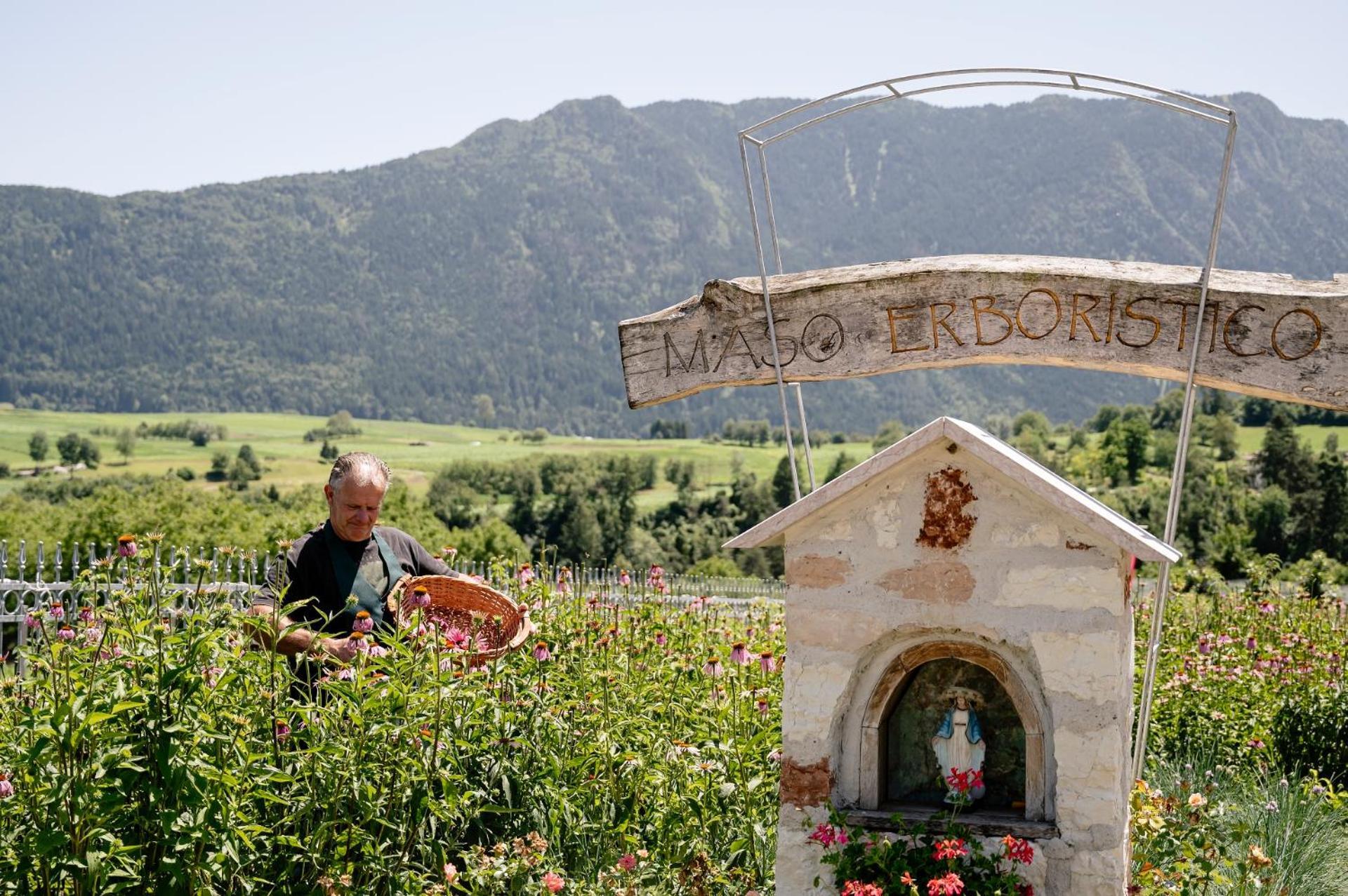 Agritur Maso Alle Rose B&B E Restaurant Balbido-rango Kültér fotó